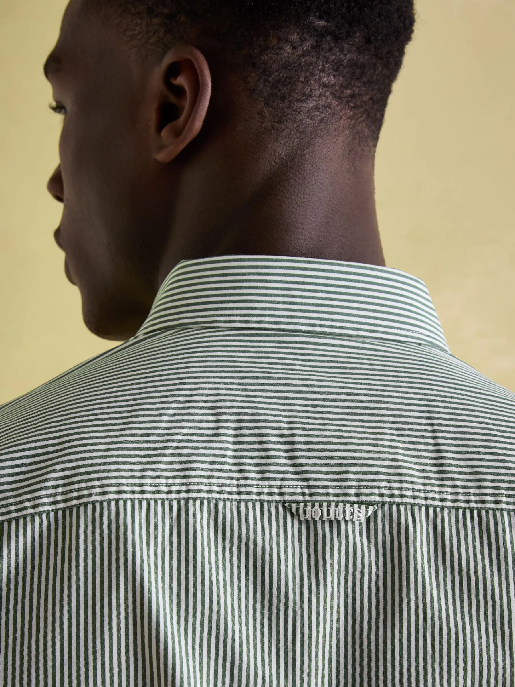 Abbott Green Pinstriped Cotton Poplin Shirt<Joules Discount