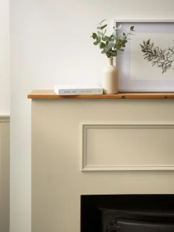 Reed White Natural Multi Surface Matt Emulsion<Joules Hot