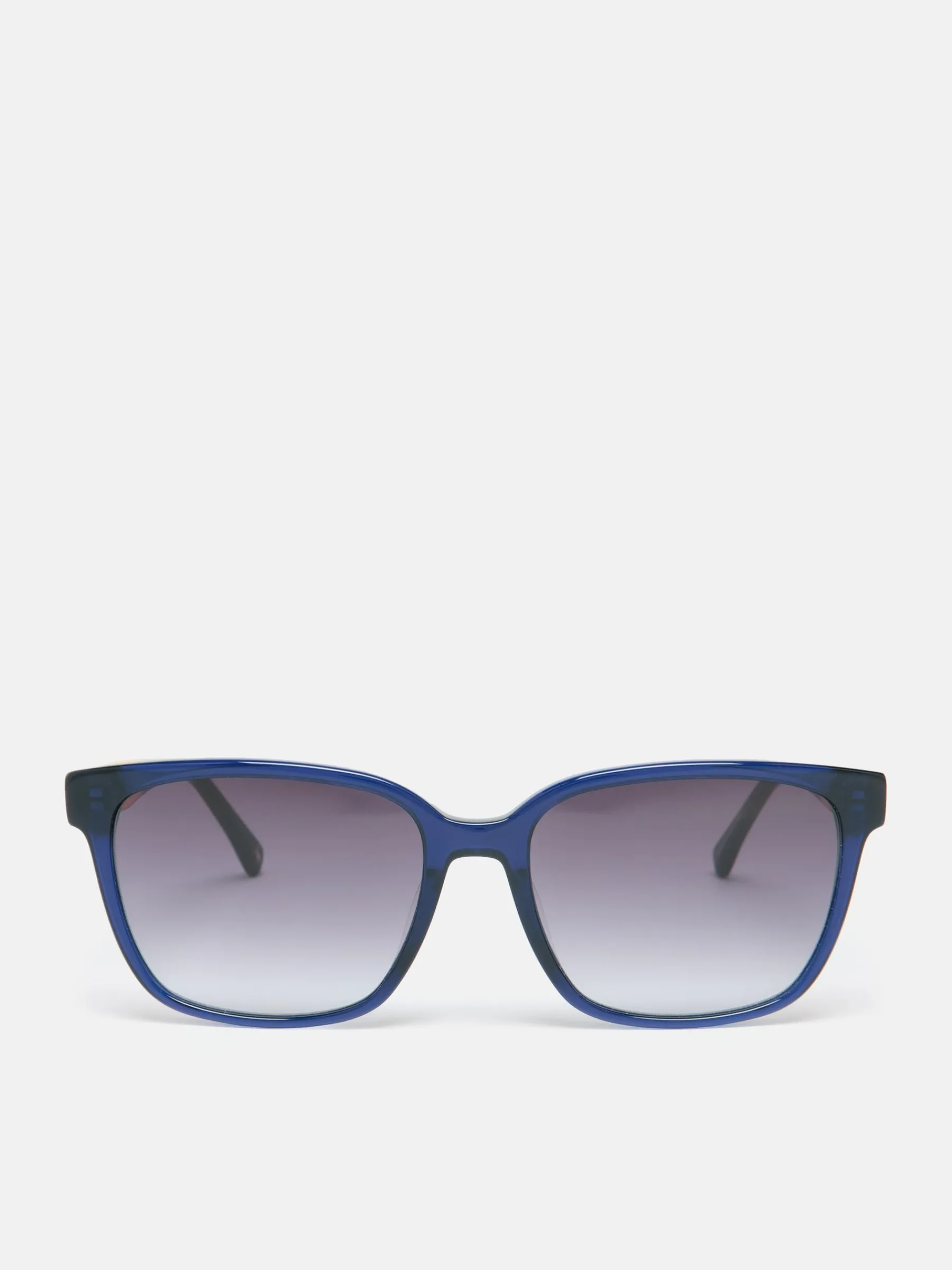 Thistle Preppy Sunglasses<Joules Best