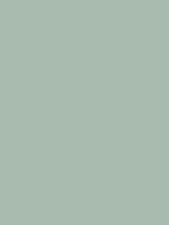 Village Store Green Multi Surface Matt Emulsion<Joules