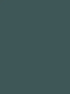Wild Wanders Blue Surface Matt Emulsion<Joules Discount