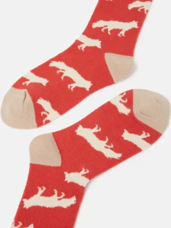 Women's Amble Icon Socks (size 4-8)<Joules Clearance